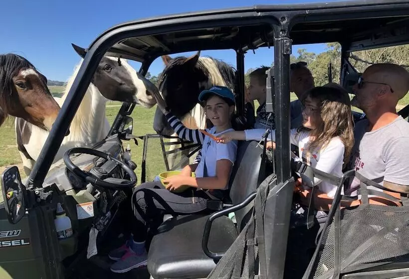 High Country Trail Rides & Farm Stay