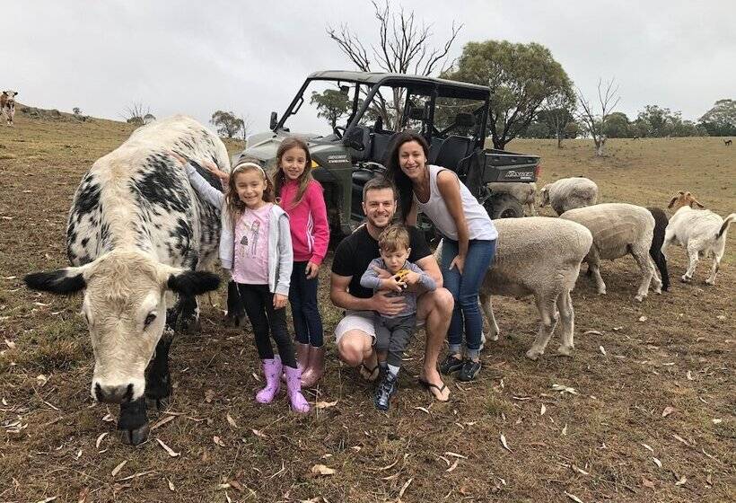 High Country Trail Rides & Farm Stay