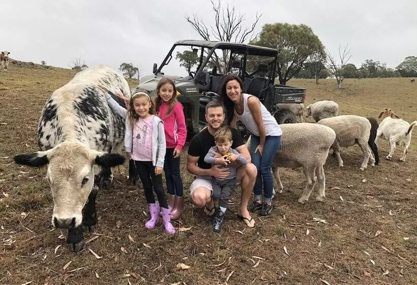 High Country Trail Rides & Farm Stay