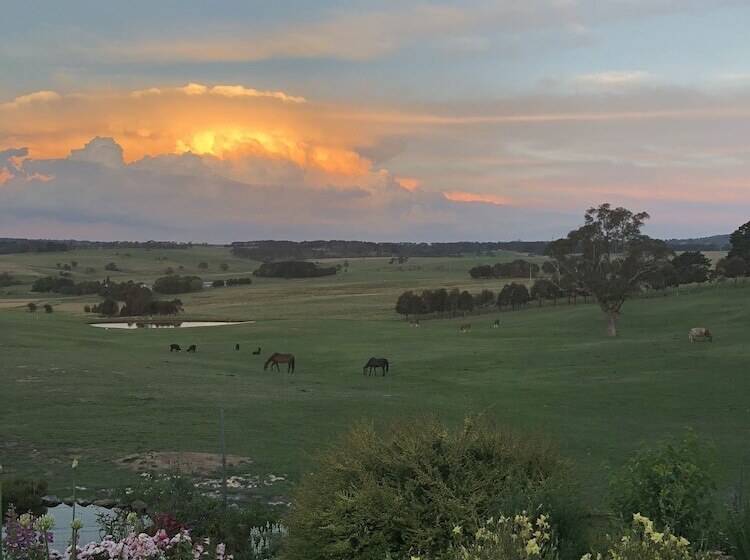 High Country Trail Rides & Farm Stay