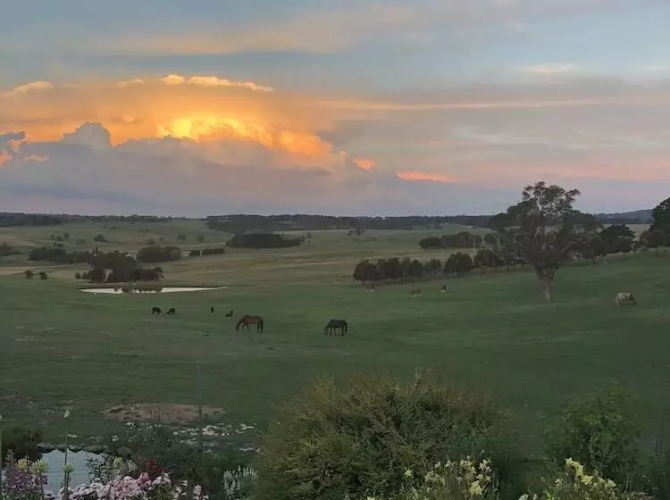 High Country Trail Rides & Farm Stay