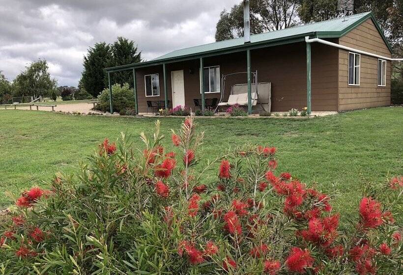 High Country Trail Rides & Farm Stay