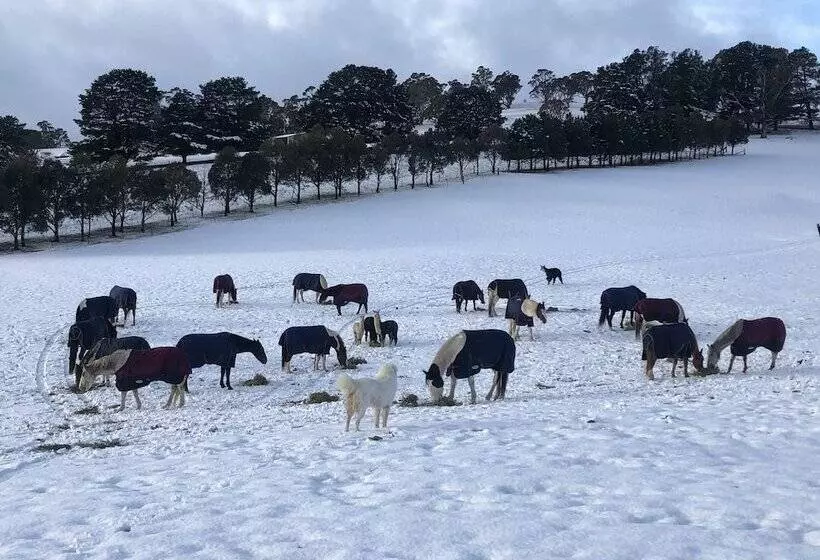High Country Trail Rides & Farm Stay
