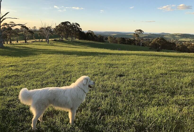 High Country Trail Rides & Farm Stay