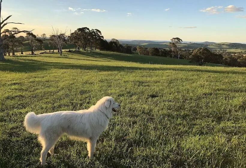 High Country Trail Rides & Farm Stay