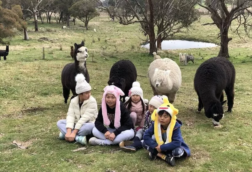 High Country Trail Rides & Farm Stay