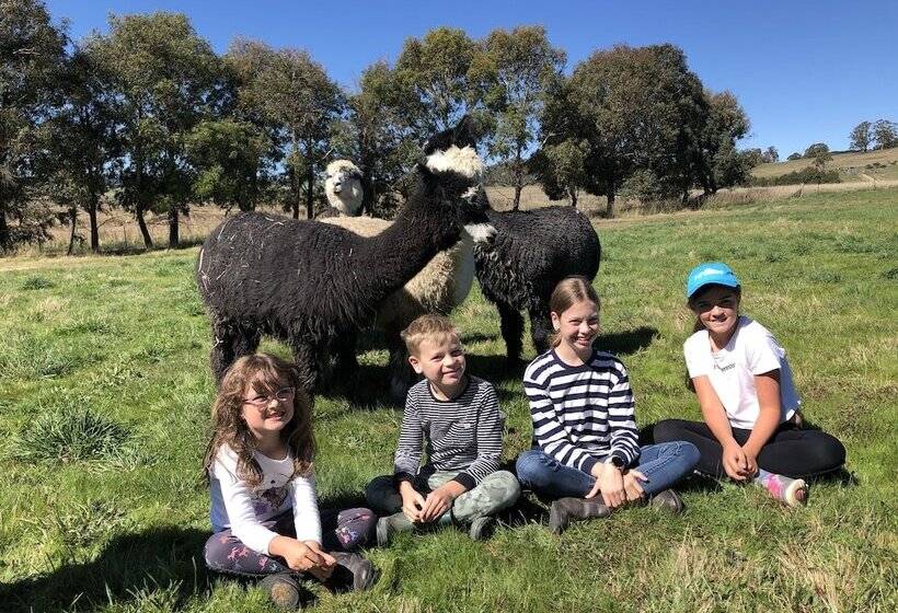 High Country Trail Rides & Farm Stay