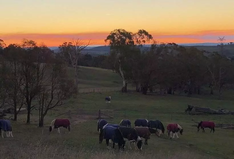 High Country Trail Rides & Farm Stay