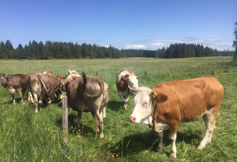 Отель Grand Apartment Allgäu