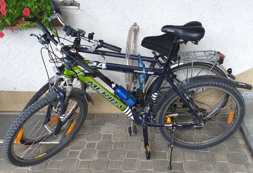 Отель Grand Apartment Allgäu