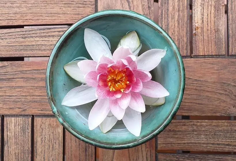 Hotelli Grand Apartment Allgäu