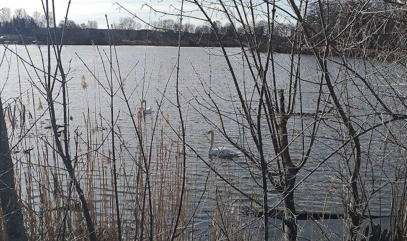 Отель Grand Apartment Allgäu