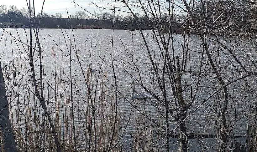 Hotelli Grand Apartment Allgäu