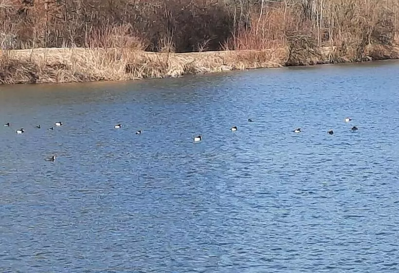 Hotelli Grand Apartment Allgäu