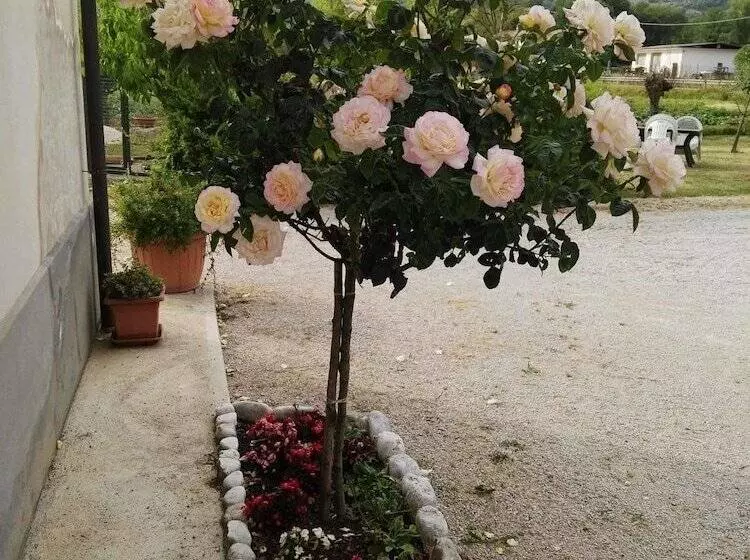 田舎風ホテル Agriturismo Campo Del Monaco
