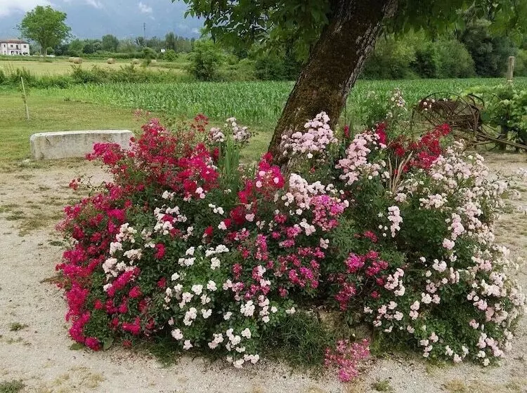 田舎風ホテル Agriturismo Campo Del Monaco