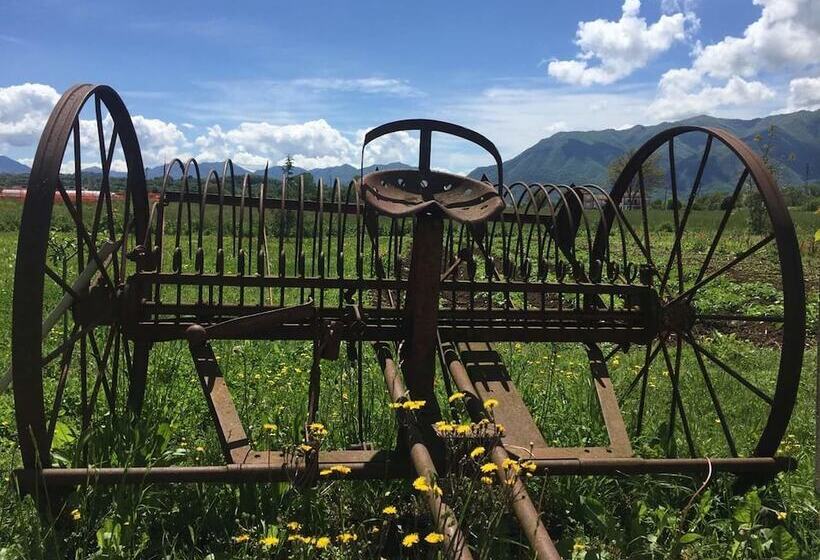 교외 호텔 Agriturismo Campo Del Monaco