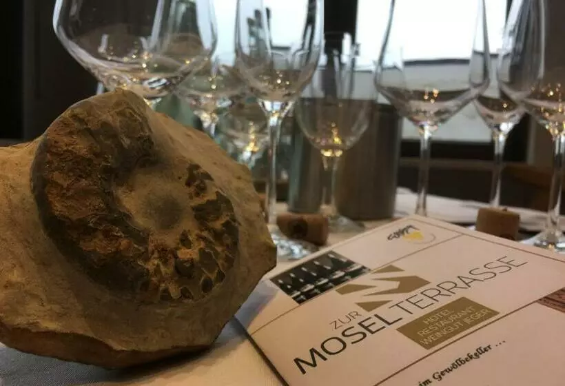 Hôtel Zur Moselterrasse