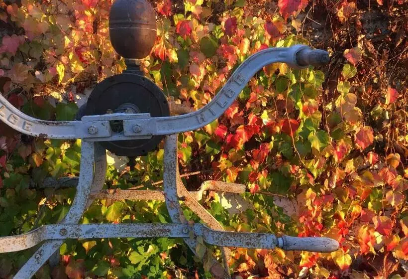 Hôtel Zur Moselterrasse