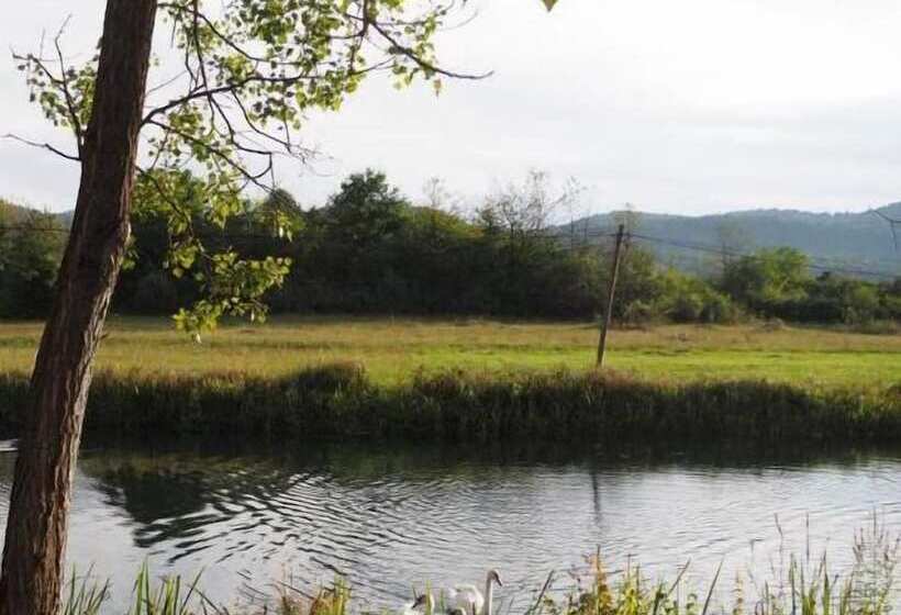 膳宿费 Ad Astra House