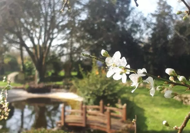 Majatalo Chambres D Hôtes La Frise