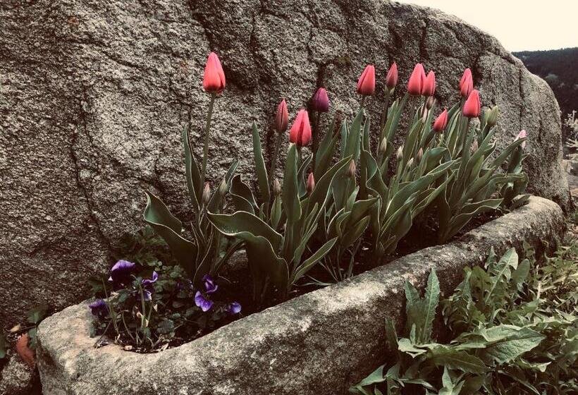 膳宿费 La Source D'en Haut