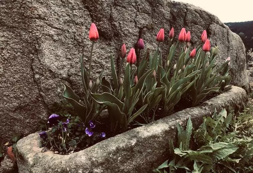 Majatalo La Source D'en Haut