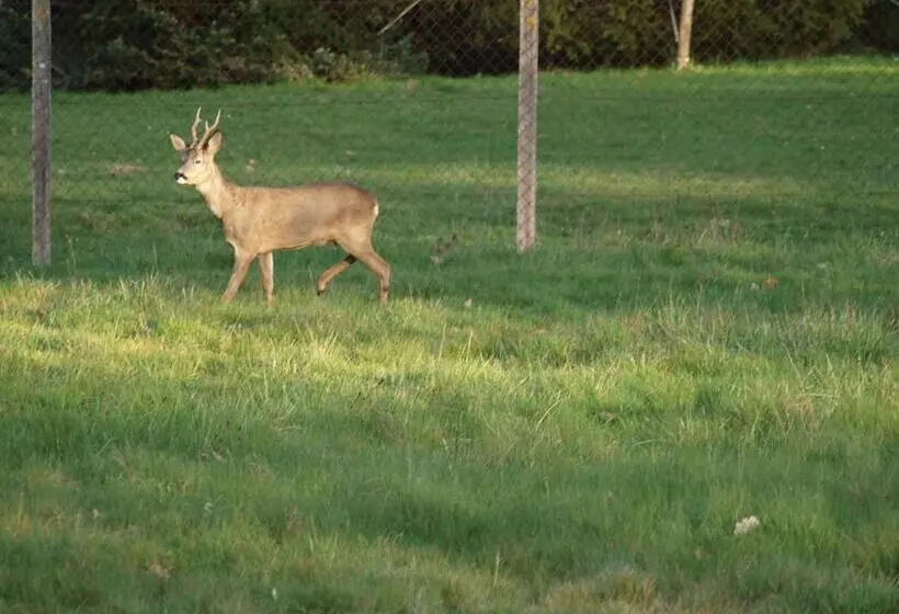 ペンション Le Cheminard