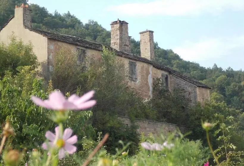 ペンション Le Cintrium