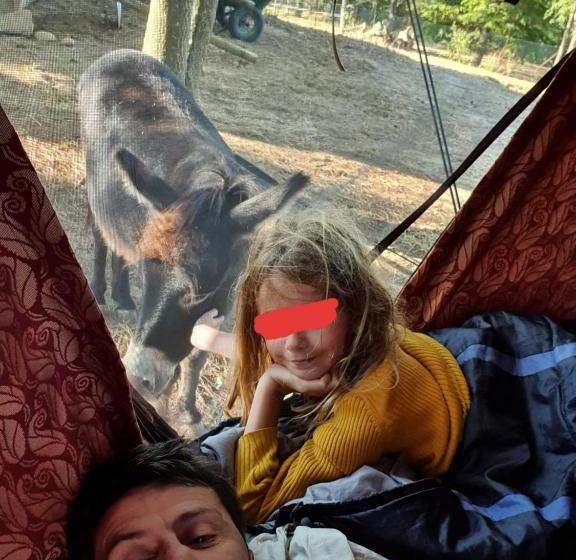 Pensjonat L'houstalet Des Serniers