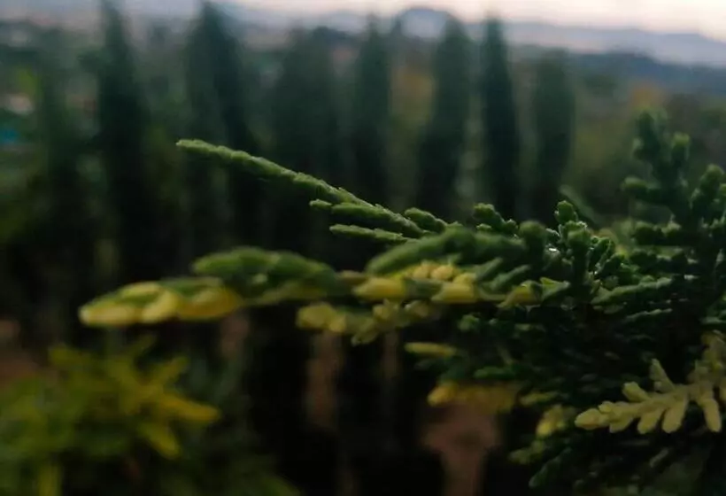 ユースホステル Vista Hermosa Eco Hostal