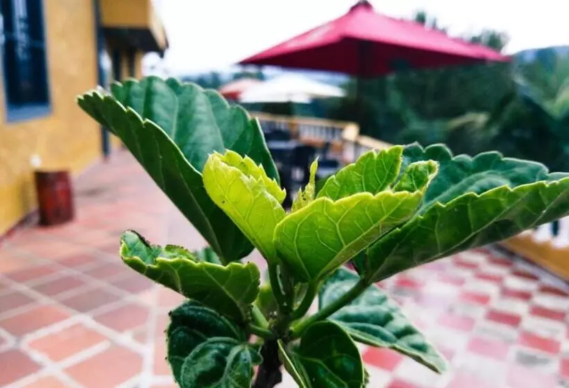 ユースホステル Vista Hermosa Eco Hostal