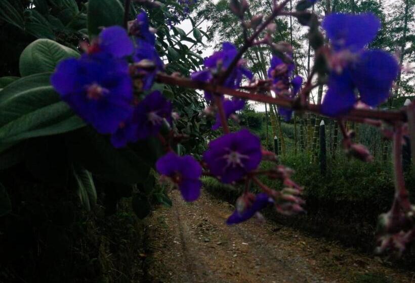 旅馆 Vista Hermosa Eco Hostal