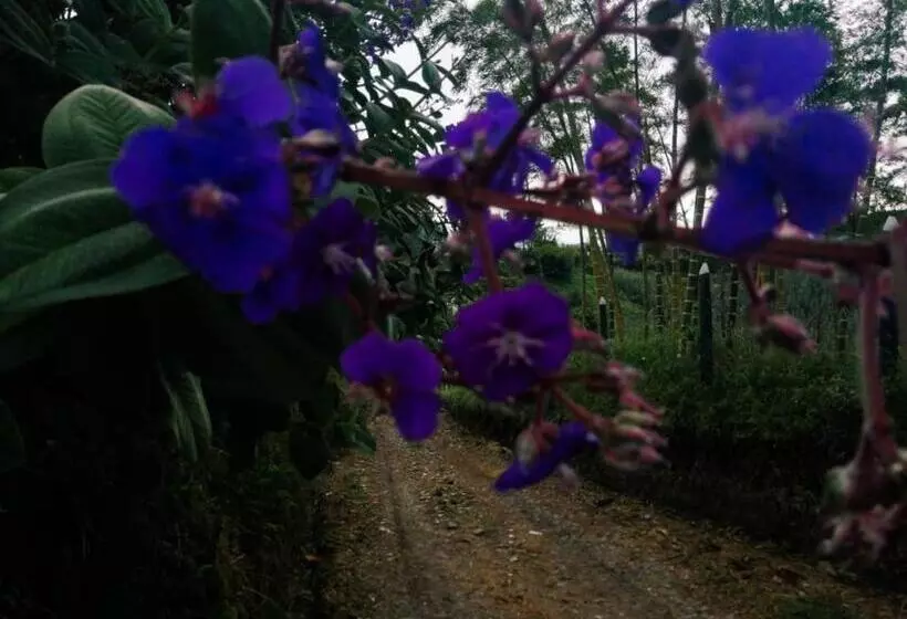 ユースホステル Vista Hermosa Eco Hostal