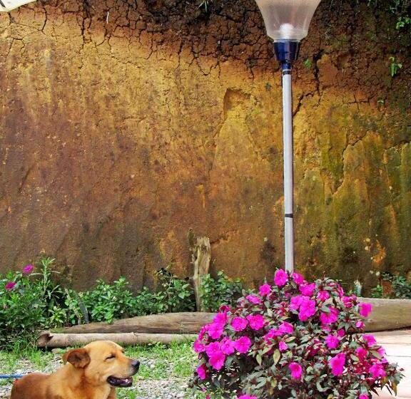 旅馆 Vista Hermosa Eco Hostal