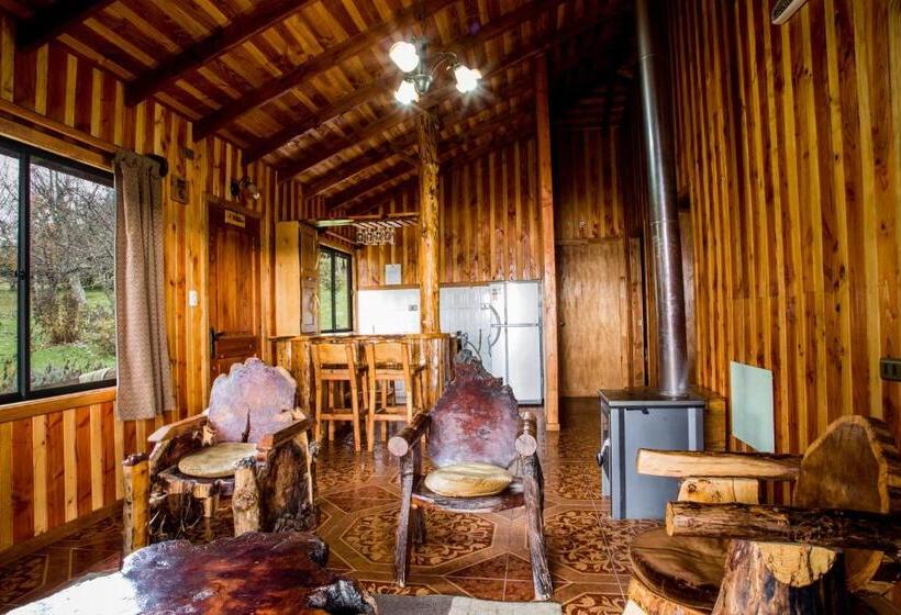 Apart Hotel Puchaley Lafquen