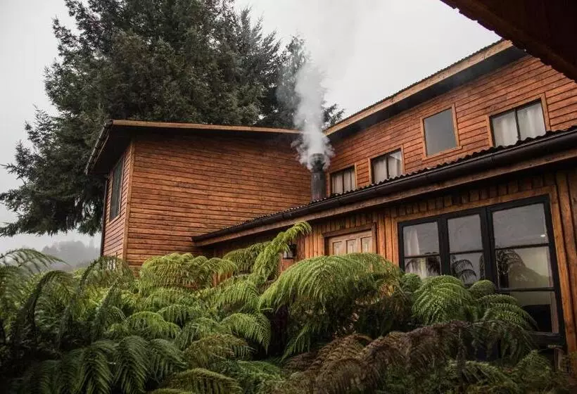 Apart Hotel Puchaley Lafquen