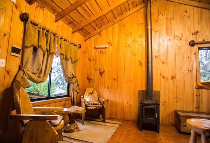 Apart Hotel Puchaley Lafquen