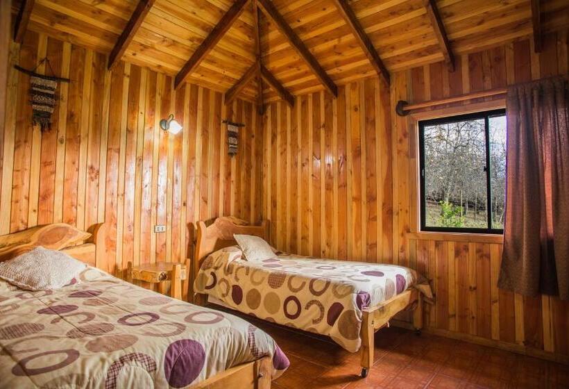 Apart Hotel Puchaley Lafquen