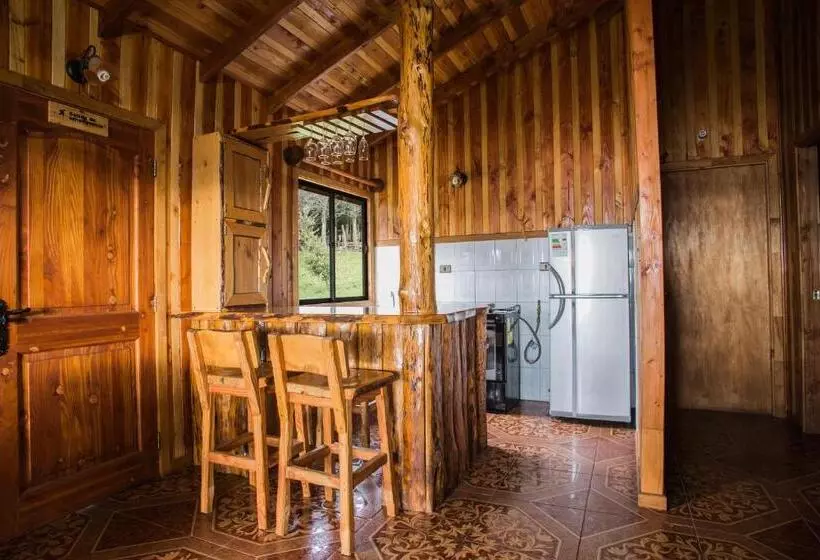 Apart Hotel Puchaley Lafquen