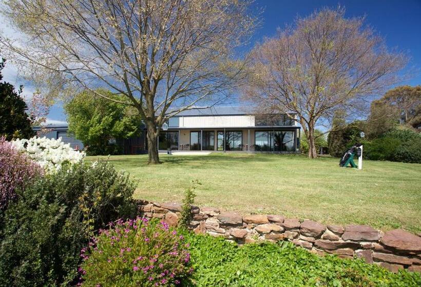 Bed and Breakfast Altitude221