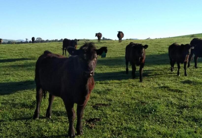 ベッドアンドブレックファースト Altitude221