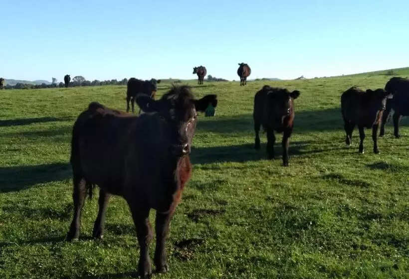 ベッドアンドブレックファースト Altitude221