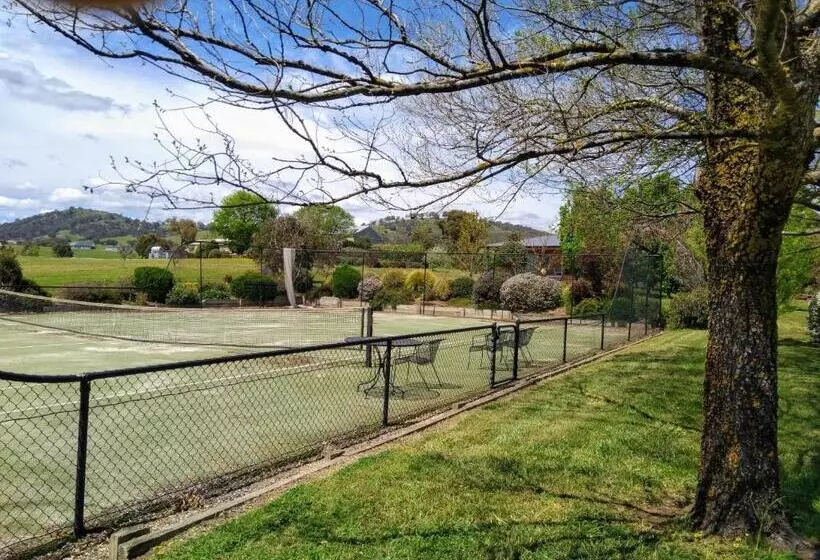 ベッドアンドブレックファースト Altitude221