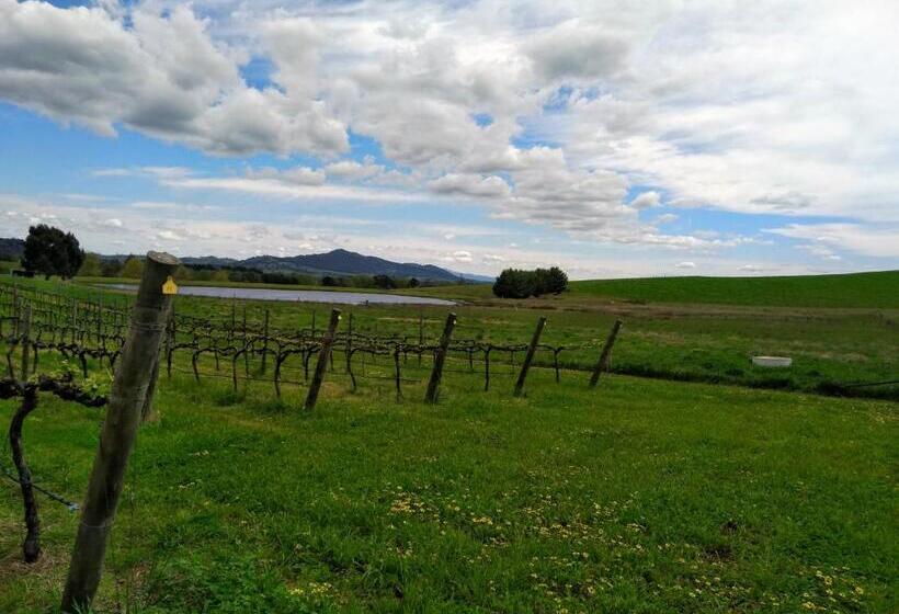 Bed and Breakfast Altitude221