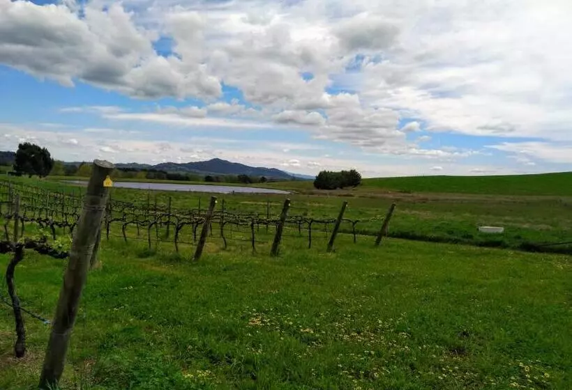 ベッドアンドブレックファースト Altitude221