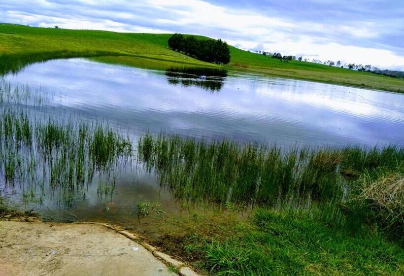 ベッドアンドブレックファースト Altitude221