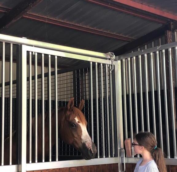 Bed and Breakfast Altitude221