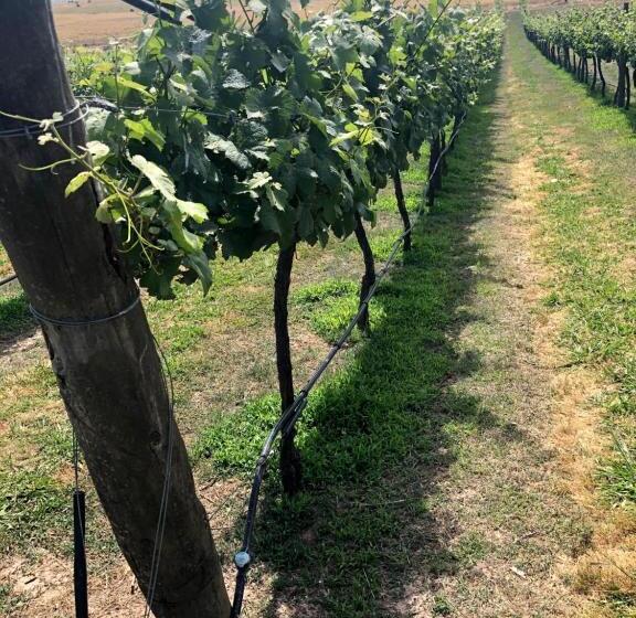 Bed and Breakfast Altitude221