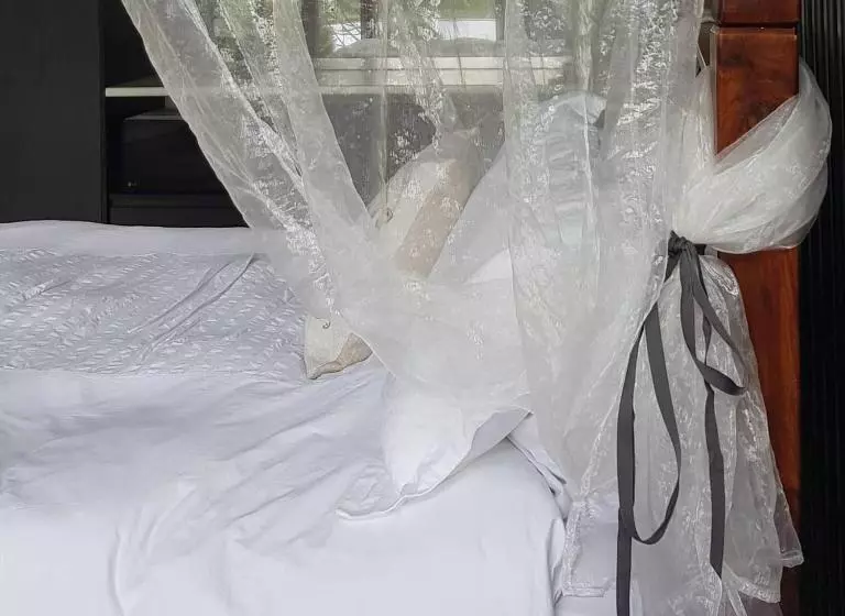 ベッドアンドブレックファースト Altitude221